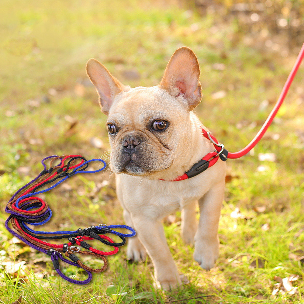 Dog Leash Dog Leash Pet Leash